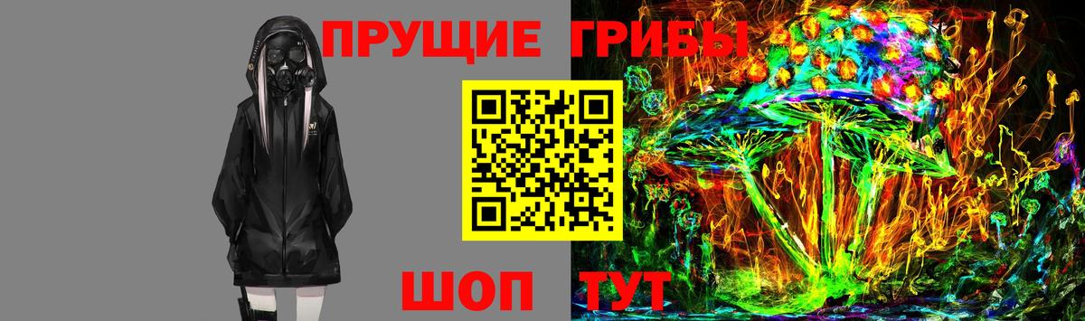 Псилоцибиновые грибы прущие грибы Сургут