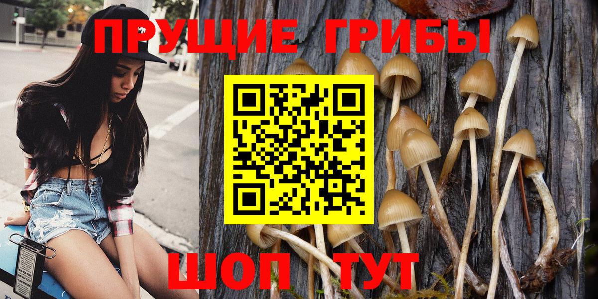 Сургут  Галлюциногенные грибы мухоморы  Вход с VPN 